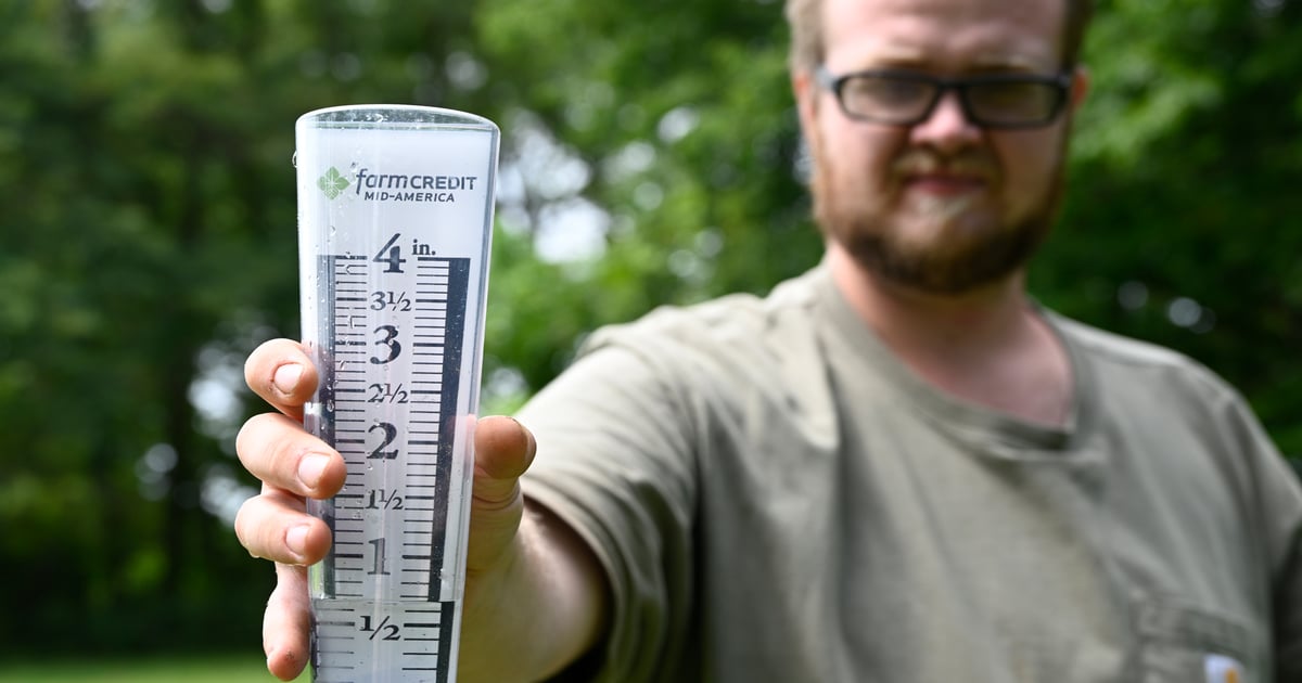 Rain helps some Midwest crops while others suffer southern rust