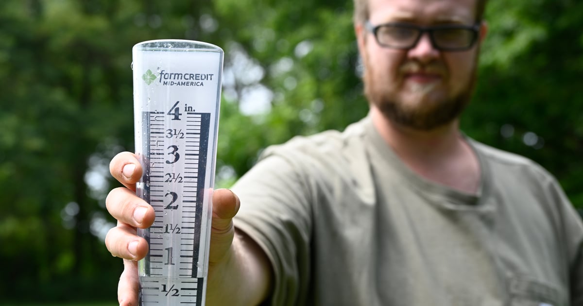 Rain helps some Midwest crops while others suffer southern rust