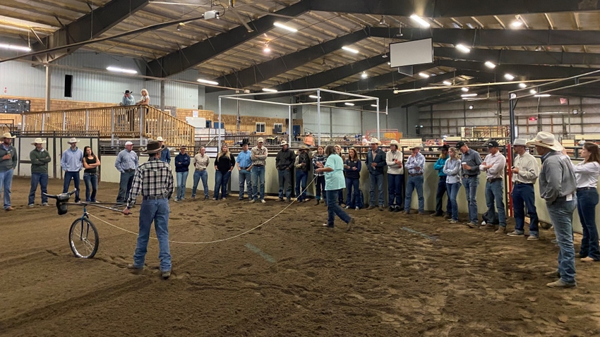 Stockmanship clinic