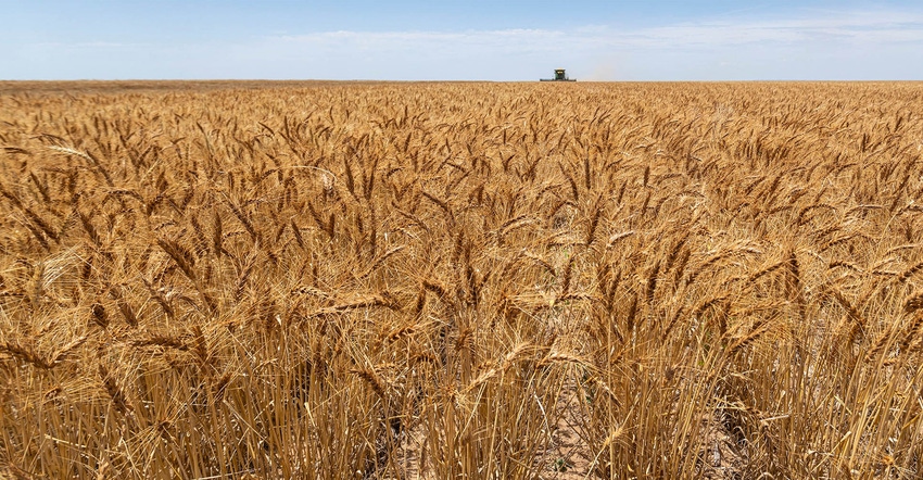 2022-winter-wheat-drought.jpg