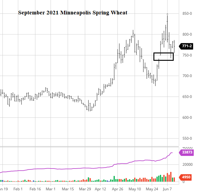 Sept. 2021 Minneapolis Spring wheat price chart with gap.