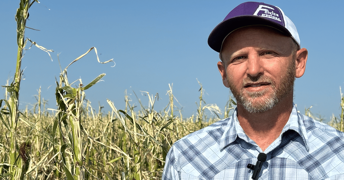 Hail dashes hopes for a corn crop in southwest Kansas