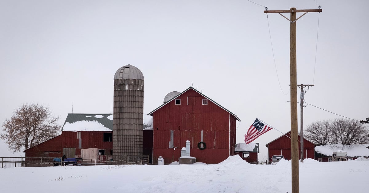 USDA bridge payment rates revealed: See what farmers get per acre