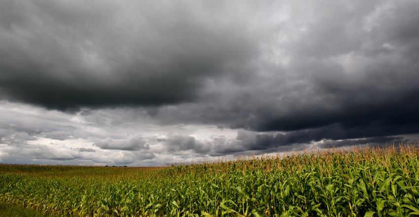 light shining through storm clouds over a corn field