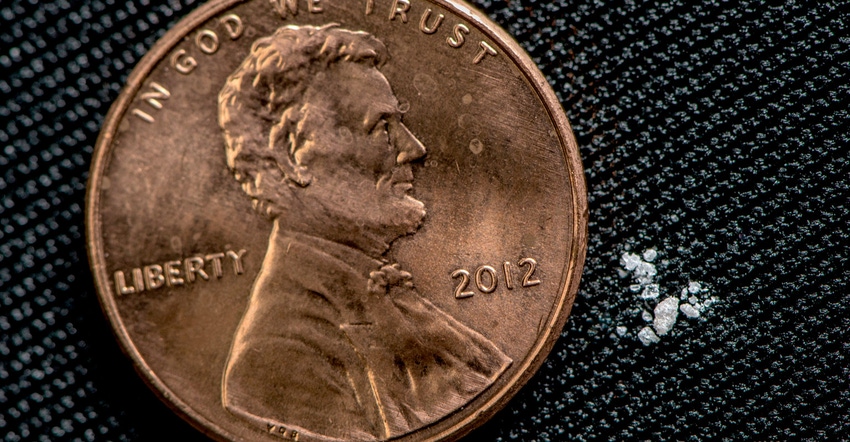 A lethal dose of fentanyl shown beside a penny for scale