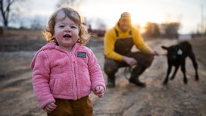 Toddler Clare Haynes in foreground wearing pink sherpa coat with Dan Haynes kneeling with black baby calf out of focus behind