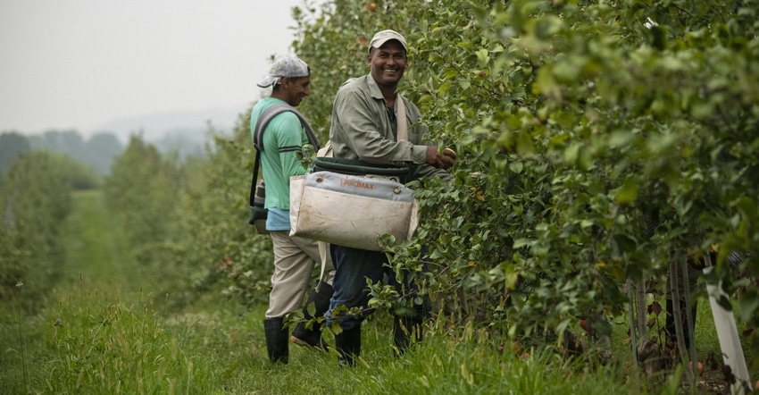 farmworker orchard USDA.jpg farmworker orchard USDA.jpg