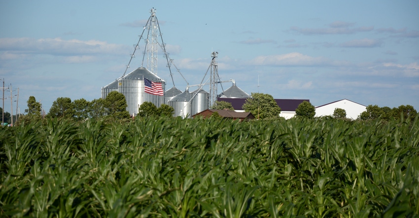 field of corn with farmstead flying an American flag in the background