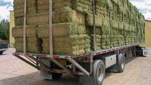 Square hay bales strapped onto a semi truck
