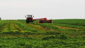  alfalfa being harvested