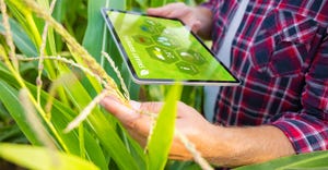 Farmer in corn field using digital tablet for smart farming