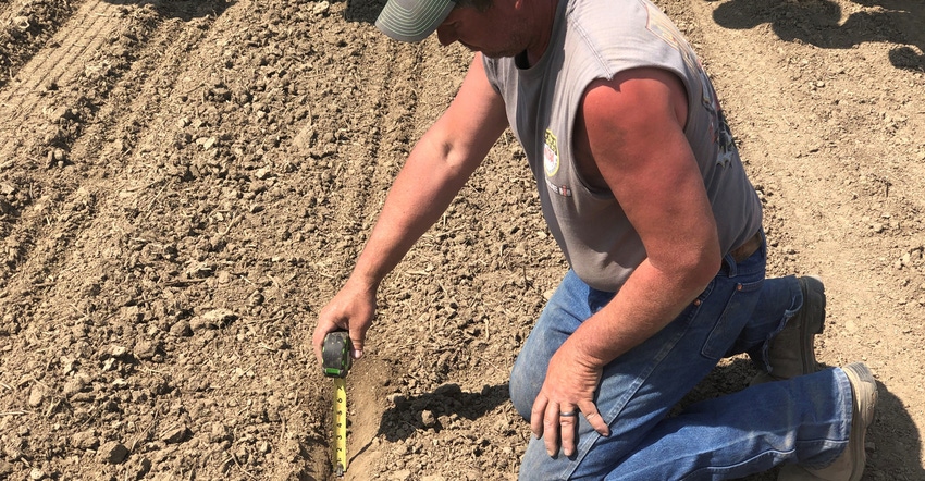 Pete Illingworth checking seeding depth Pete Illingworth checking seeding depth