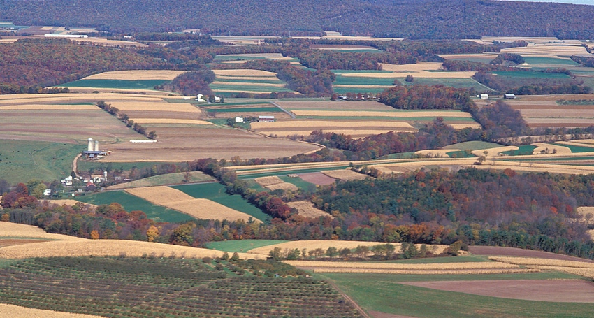 WFP-ARS-farmland.jpg WFP-ARS-farmland.jpg