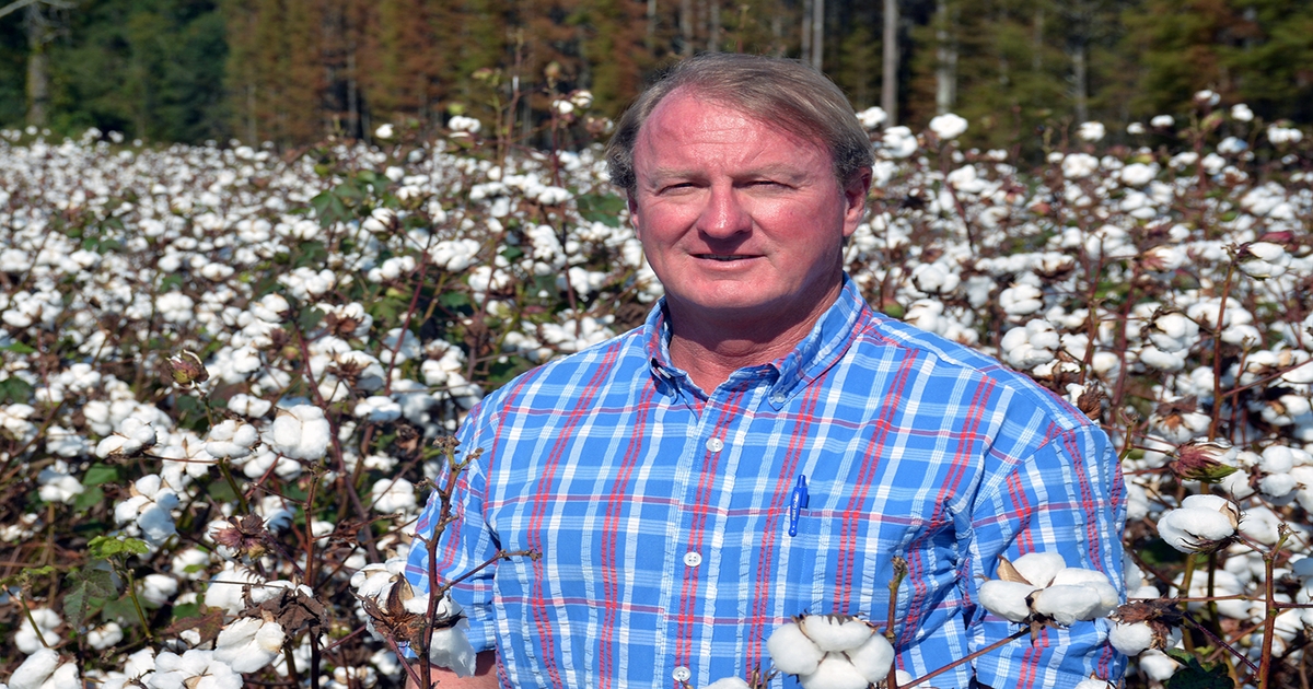 Cotton looks strong, but it must remain sustainable and in demand