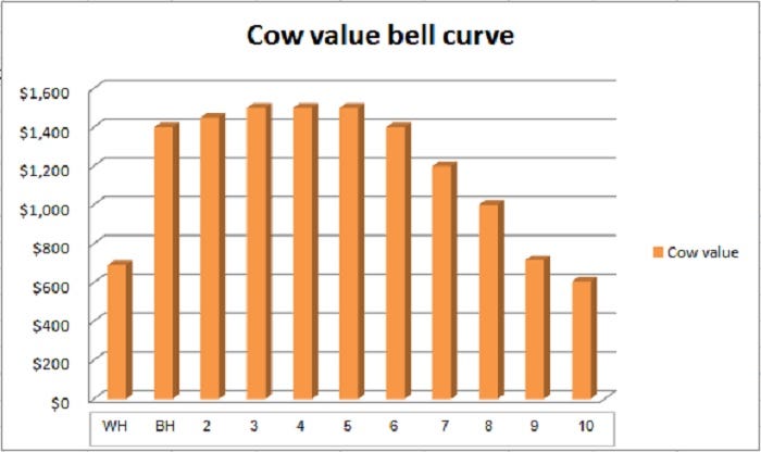 8-29-cow-value-bell-curve.jpg