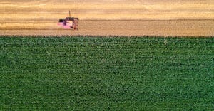 aerial view of harvesting wheat