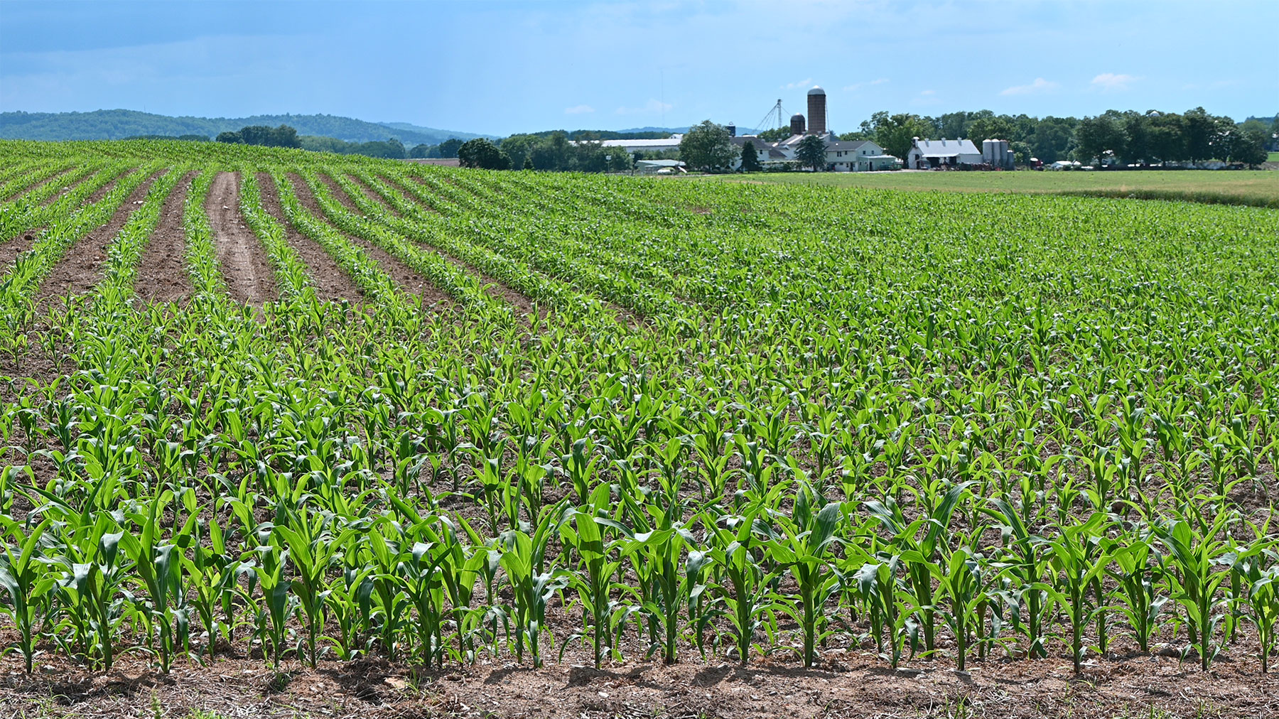 Corn+Soybean Digest