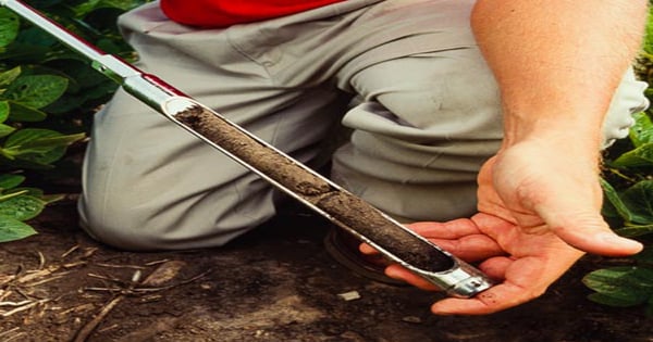 Moist Soil Sample Provides Precision, Better Accuracy in Estimating ...