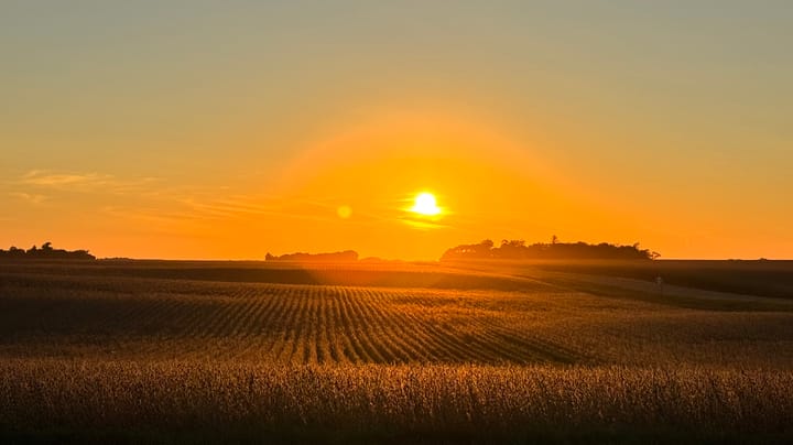 Farmer optimism climbs as commodity prices rally