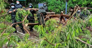 Paramilitary police officers clean up damaged trees and branches on road after Typhoon Higgins approached in Shenzhen in Chin