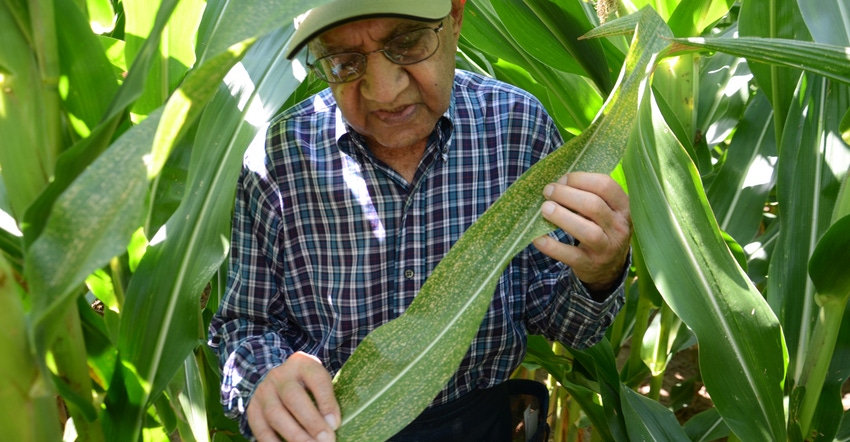 Dave Nanda holding speckled corn leaf
