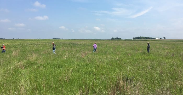 Water resources interns searching fields for milkweed