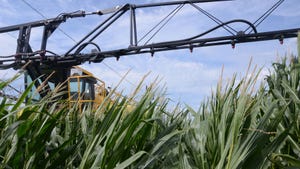cornstalks under high-clearance sprayer boom