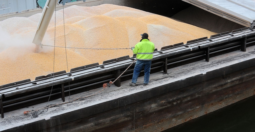 Loading corn into a shipping hold Loading corn into a shipping hold