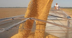 soybean-harvest-staff-dfp-6483.jpg