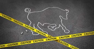 bull market caution