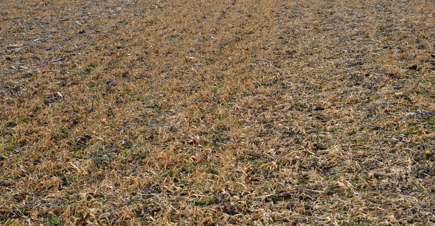 winter-killed oat cover crop 