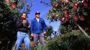 WFP-ARS-apple-orchard.jpg