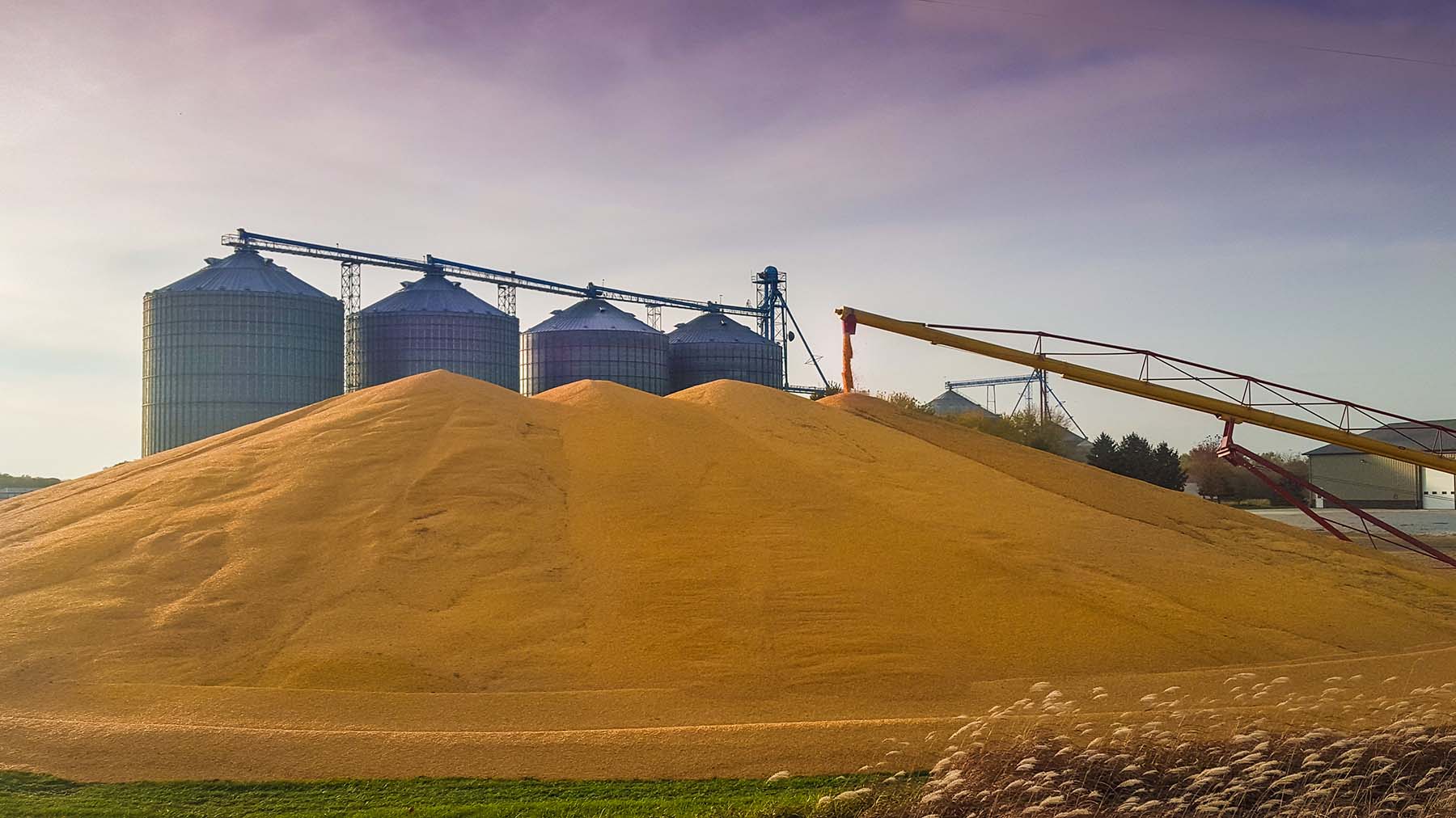 Corn storage pile and grain bins