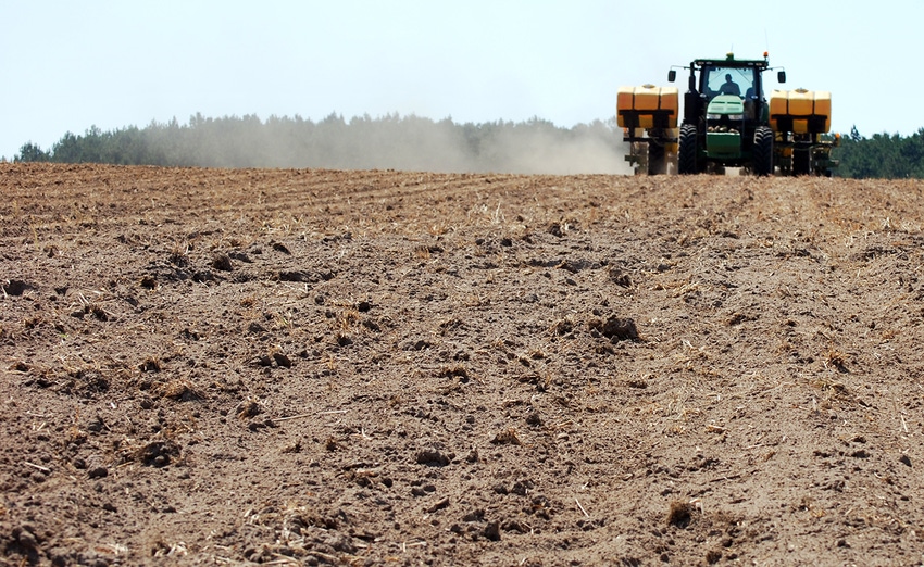 brad-haire-farm-press-peanuts-planting-2018-t.JPG brad-haire-farm-press-peanuts-planting-2018-t.JPG