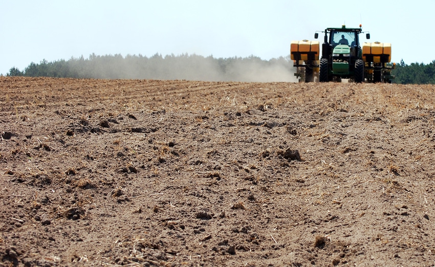 brad-haire-farm-press-peanuts-planting-2018-t.JPG