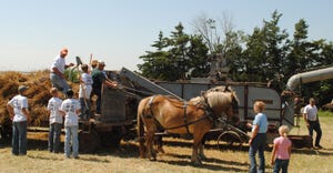 Draft horses pulling wagon with hay and farmers