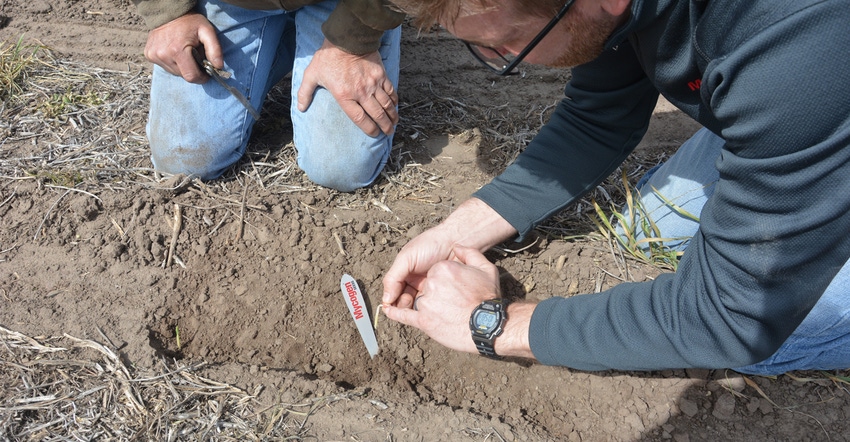 men looking at a sprouting plant men looking at a sprouting plant