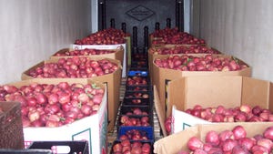 Cardboard boxes and plastic crates filled with red apples