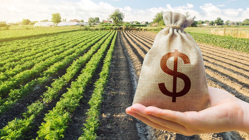 Hand holds out a dollar money bag on a background of crop field