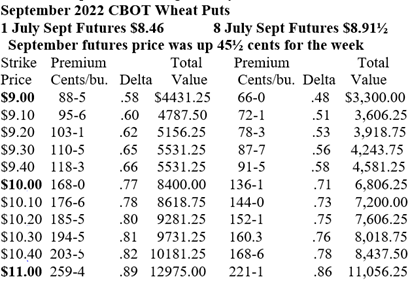 September CBOT wheat puts