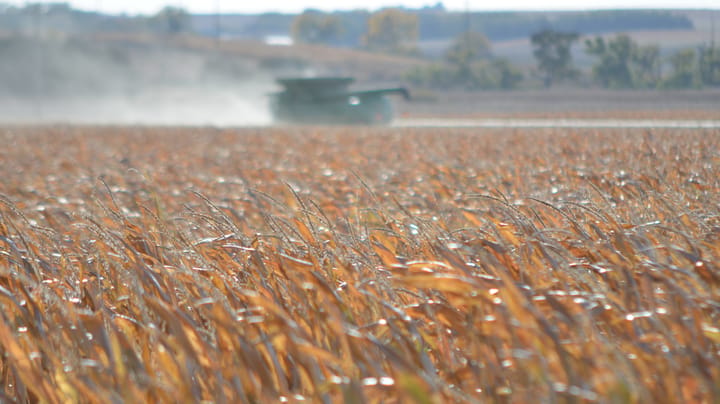 Yield ding on corn: Not all about tar spot