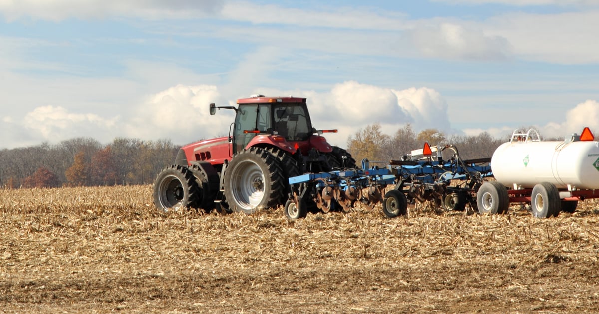 Consider economics of fertilizer use