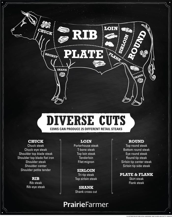 beef cuts infographic