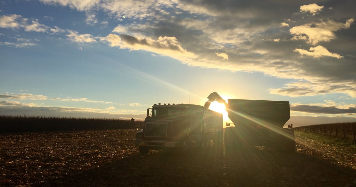 Dyed diesel approved for road use, but farmers face tax confusion