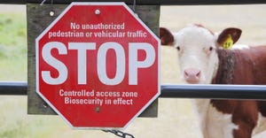biosecurity sign and steer