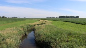 Stream flowing through field