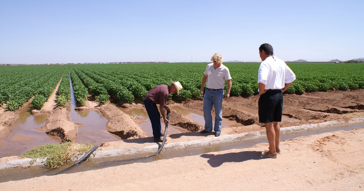 First issue of Farm Press Daily newsletter will focus on water