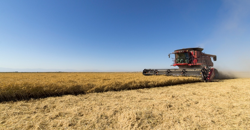 wfp-todd-fitchette-ca-rice-99.jpg wfp-todd-fitchette-ca-rice-99.jpg