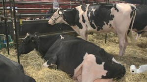 This Week in Agribusiness - World Dairy Expo