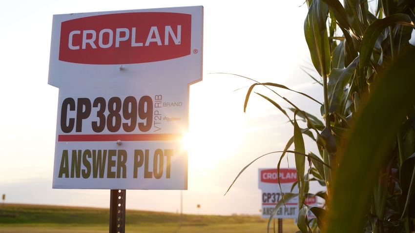 Croplan Answer Plot sign planted beside a cornfield